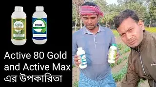 Active 80 Gold Modicare and Active Max benefits in Bengali