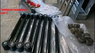 05 Chevy Trailblazer rear control arm bushings