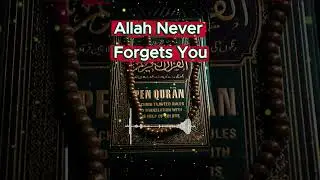 Lonely? Remember, Allah Never Forgets You (A Powerful Reminder for Hard Times)
