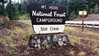(4K UHD) REVIEWING EACH CAMPSITE @ Still Creek Campground (Adjacent to Trillium) | Mount Hood Oregon