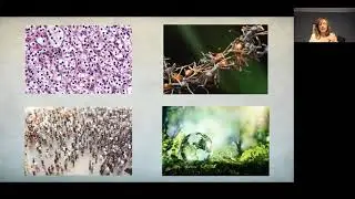 The Self-Organization and robustness of Biological Systems. Corina E. Tarnita