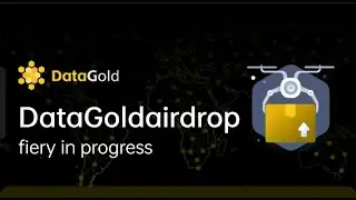 NEW MINNING DATA GOLD REVIEW