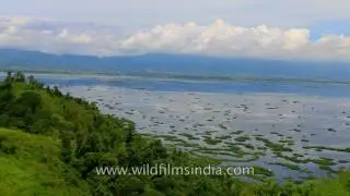 Aerial view of Loktak Lake's floating phumdi islands - famous freshwater lake of India
