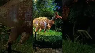 dianasore park😍😘🥰