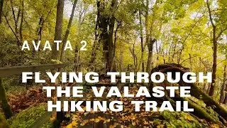 Valaste Hiking Trail - Flying Through