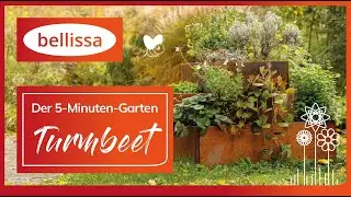 bellissa Turmbeet