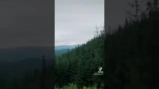 Ukrainian Carpathians⛰️.    #mountain #home #travel #hiking #forest #ukraine #carpathians