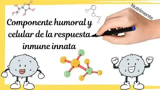 Los componentes HUMORAL y CELULAR de la RESPUESTA INMUNE innata