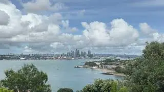 Walking New Zealand (440)_Jan 2026