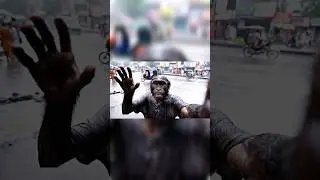 Dangerous monkey 🐒🐒 monkey monster 💀💀#short#monster#monkey