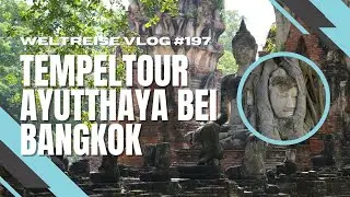 Ayutthaya Tour mit eingewachsener Buddha Statue - THAILAND 🇹🇭