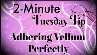 Простой 2-минутный совет на вторник: идеальное приклеивание кальки от Конни Стюарт