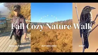 Fall Cozy Nature Walk at Huntley Meadows Virginia Day 1