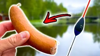 Ловля Поплавочной Снастью На КОЛБАСУ (НЕОЖИДАННЫЙ РЕЗУЛЬТАТ)| Team Galant