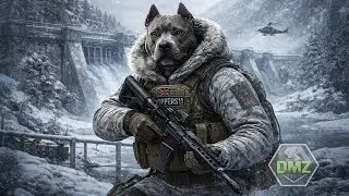 Live DMZ: Need some warming up!