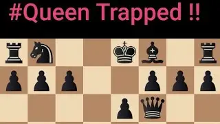 #Queen Trapped!!😍