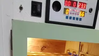DIY-Incubator
