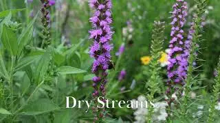 Dry Stream Design and Install - Abundant Design Iowa