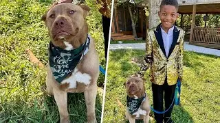 10-year-old boy wears his best suit to bring a dog home