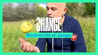 Change : la biodiversit&eacute; en danger 🌍