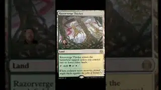 Razorverge Thicket,MTG.