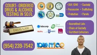 Court Ordered Drug Testing in South Florida by IDENTICO