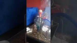 shisha hookah#shisha#shishabar #shishalove