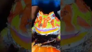 Милая лягушка УНИЧТОЖАЕТ свою добычу!! 😱