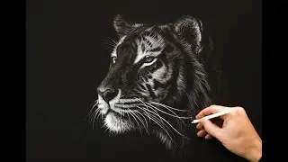 10 Outstanding Wildlife Artist Techniques