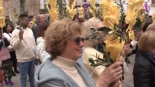 Domingo de Ramos 2024