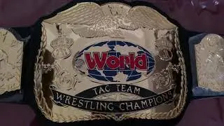 Fandu classic tag team belt