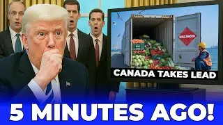 5 Min. AGO  U S  Export Market Collapses as Canada Overtakes in Global Food Trade