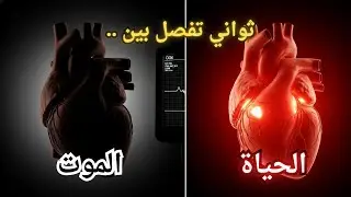 ماذا يحدث لجسمك لو توقف قلبك 10 ثواني فقط؟
