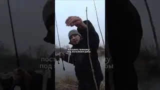 How to catch big bass #fishing #perchfishing #fishing #dropshot