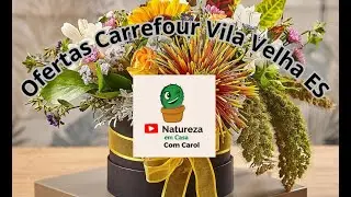 Ofertas de plantas no Carrefour de Vila Velha - ES para os dias 21, 22 e 23 de Novembro!