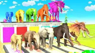 Long Slide game With Elephant Gorilla Dinosaur Hippopotamus Tiger 3d game Cartoon Animation video