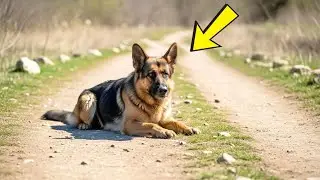 They Thought The Dog Was Too Weak To Live, But Then She Fought Back