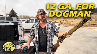 12 калибра для DOGMAN