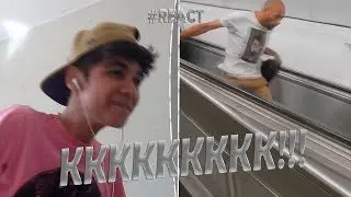 REACT Doggone It!: Fails You Missed #23 (December 2017) | FailArmy