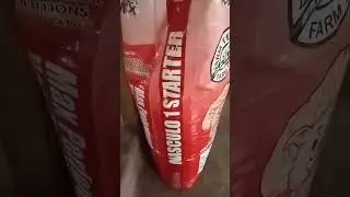 Promix Calibre starter feeds mas mura kaysa sa iBang brand na feeds
