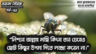 সূরা বাকারা'র ২৬নং আয়াতের তাফসিরের বর্ণনা  | All Quran Bangla Tafsir |  | আল কুরআনের বাংলা তাফসির |