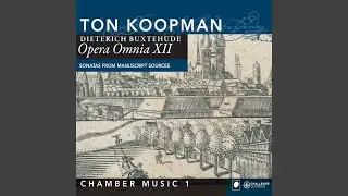 Sonata in G for two violins, viola da gamba and basso continuo BuxWV 271: Sonata in G for two...