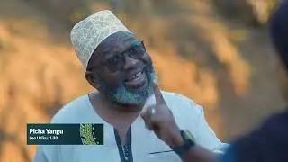 PICHA YANGU S02 EP 31 | SINEMA ZETU HD