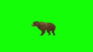 Green screen walking, Running Bear 🐻// Green screen Bear 🐻// भालू  🐻