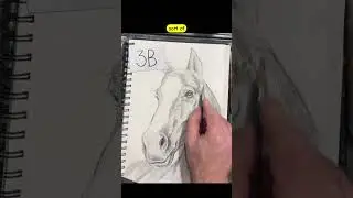 Рисование головы лошади от начала до конца.