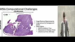 Self-Supervised Learning - Pathology Foundation Models NeurIPS 2025 Competition Workshop
