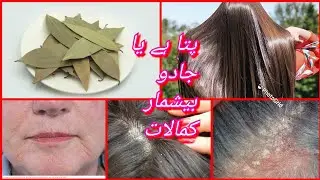 پتا ہے یا جادوbest diy /bay leaf toner for hair growth and younger skin
