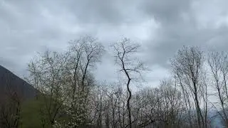 Solo suoni primordiali
