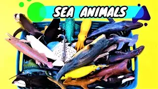 SEA ANIMALS ORCA &co MEGALODON BOX TOYS