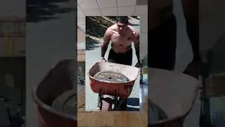 Преимущества прогулки фермеров #шорты